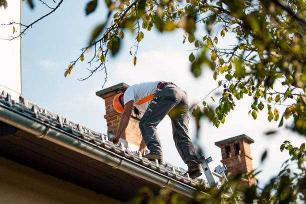 Best Metal Roofing Contractor  in Milton, WV