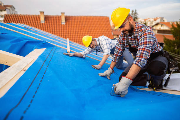 Best Roof Maintenance Services  in Milton, WV
